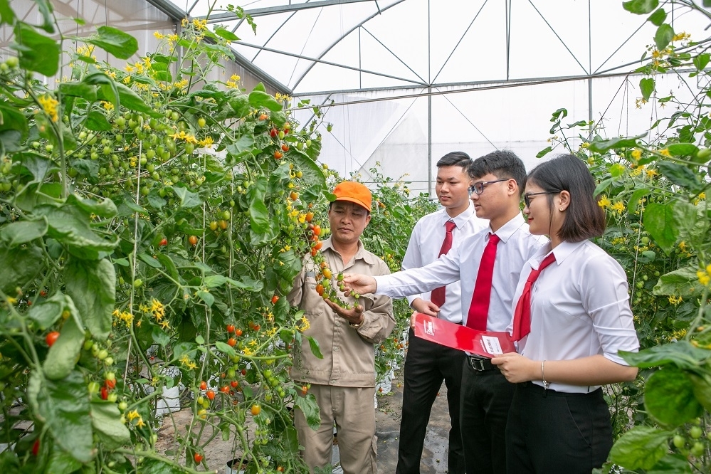 Agribank từng bước hoàn thiện khung chính sách ESG