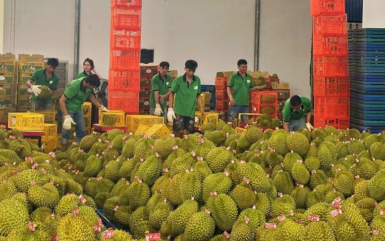 Linh hoạt điều chỉnh thị trường xuất khẩu nông sản trước xung đột
