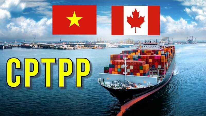 Thương mại giữa Việt Nam - Canada có xu hướng tăng trưởng tốt nhờ tận dụng Hiệp định CPTPP và khai thác hiệu quả lợi thế giữa hai nước. 