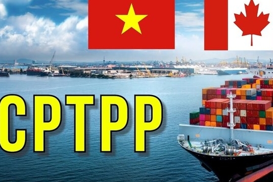Kim ngạch thương mại Việt Nam - Canada tăng 20,5% so với cùng kỳ