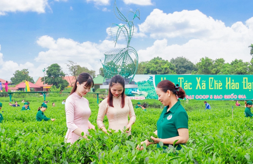 Gần 200 hợp tác xã mới được thành lập trong quý I/2026 Gần 200 hợp tác xã mới được thành lập trong quý I/2026