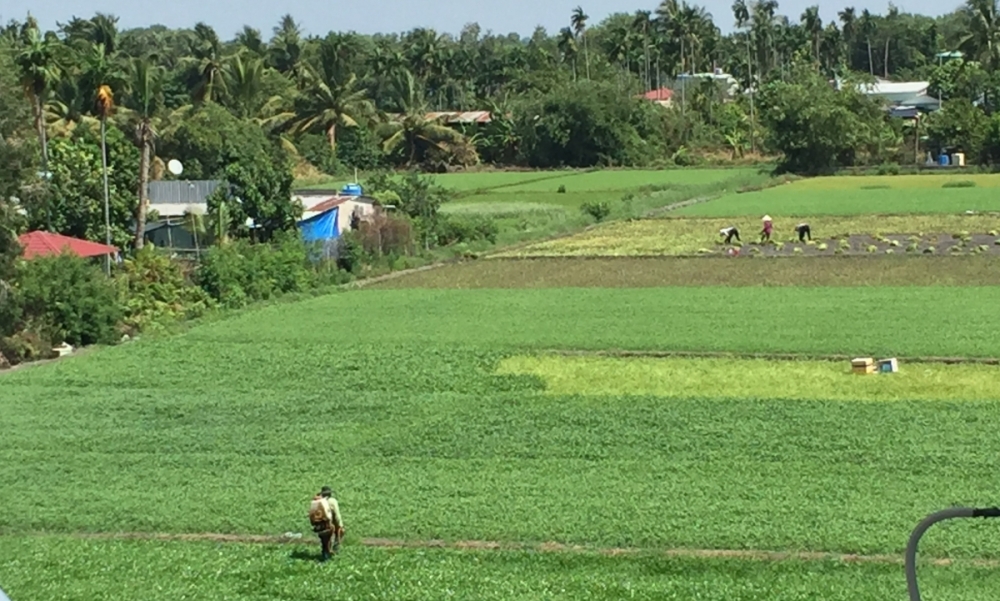 TP. Hồ Chí Minh gỡ vướng gần 400 khu đất thí điểm làm nhà ở thương mại TP. Hồ Chí Minh gỡ vướng gần 400 khu đất thí điểm làm nhà ở thương mại