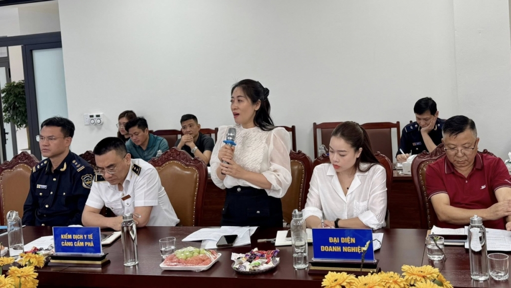 Tìm giải pháp thúc đẩy xuất nhập khẩu qua cảng Cẩm Phả