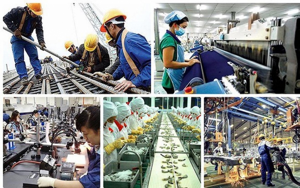 Kho bạc Nhà nước triển khai kế hoạch hành động về phát triển kinh tế nhà nước Kho bạc Nhà nước triển khai kế hoạch hành động về phát triển kinh tế nhà nước