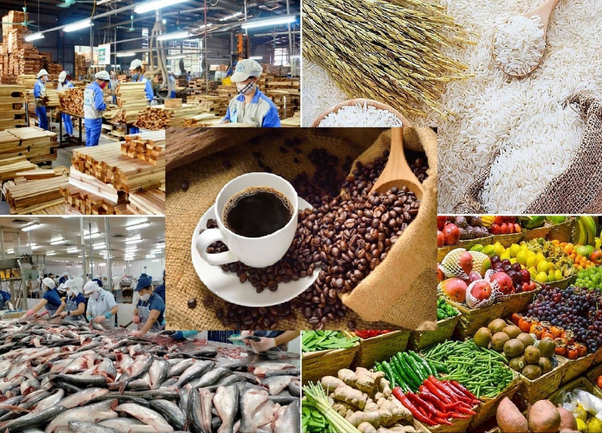 Đa dạng hóa thị trường xuất khẩu để giữ vững tăng trưởng nông sản năm 2026