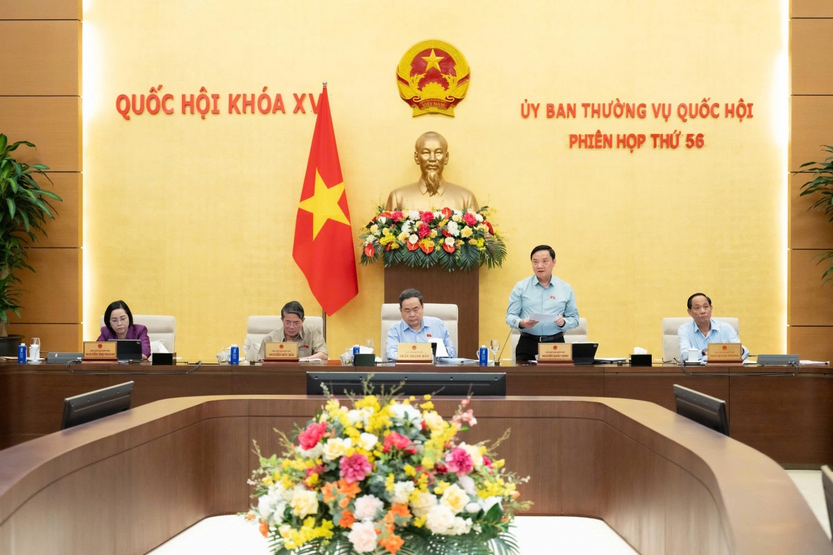 Tổng rà soát hệ thống văn bản quy phạm pháp luật Tổng rà soát hệ thống văn bản quy phạm pháp luật