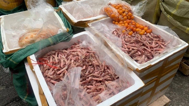Thực phẩm bẩn “qua mặt” nhiều khâu, Bộ Y tế đề nghị kiểm tra đột xuất