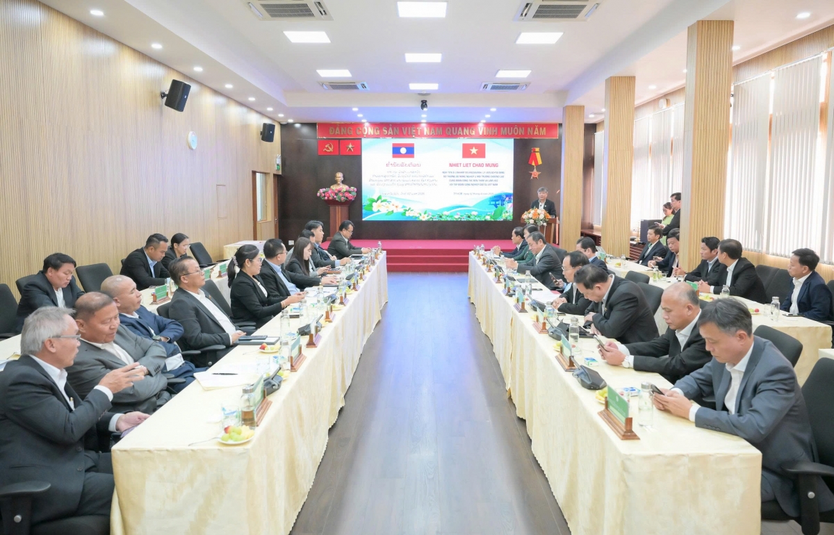 Mở rộng và nâng cao hiệu quả hợp tác đầu tư phát triển trồng và chế biến cao su Việt Nam - Lào
