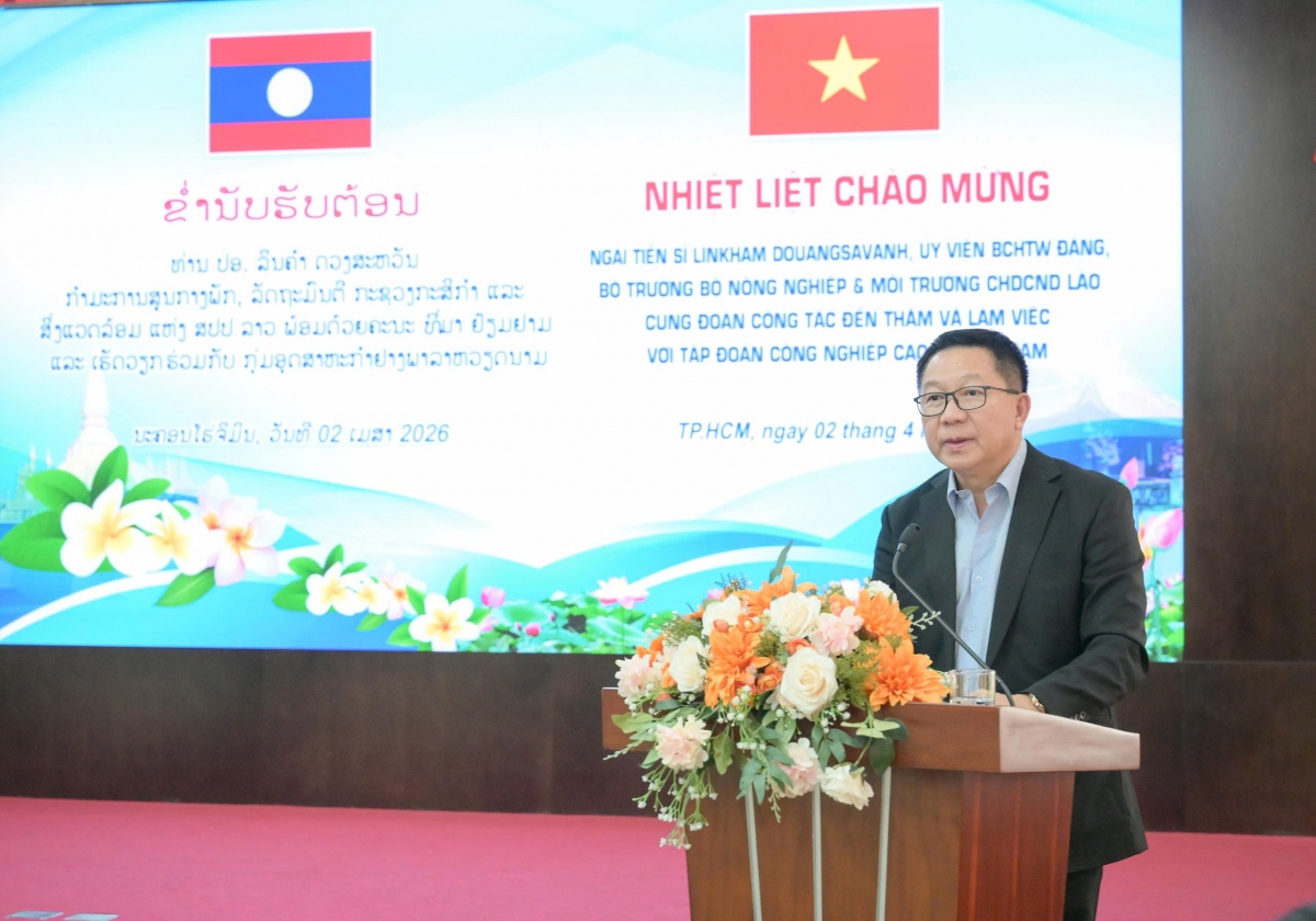 Mở rộng và nâng cao hiệu quả hợp tác đầu tư phát triển trồng và chế biến cao su Việt Nam - Lào