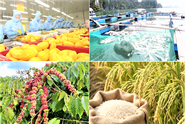 Xuất khẩu nông sản: Sản lượng tăng, giá trị giảm