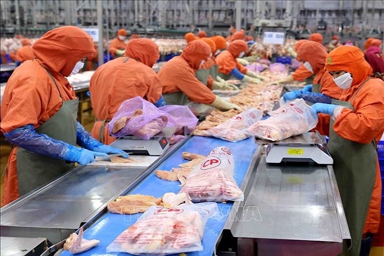 Hướng dẫn mới về đăng ký cơ sở sản xuất thực phẩm nhập khẩu theo Lệnh 280