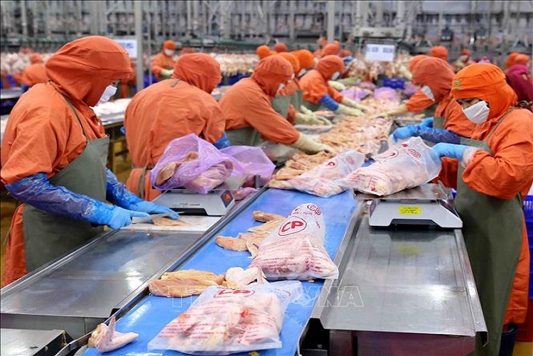 Hướng dẫn mới về đăng ký cơ sở sản xuất thực phẩm nhập khẩu theo Lệnh 280