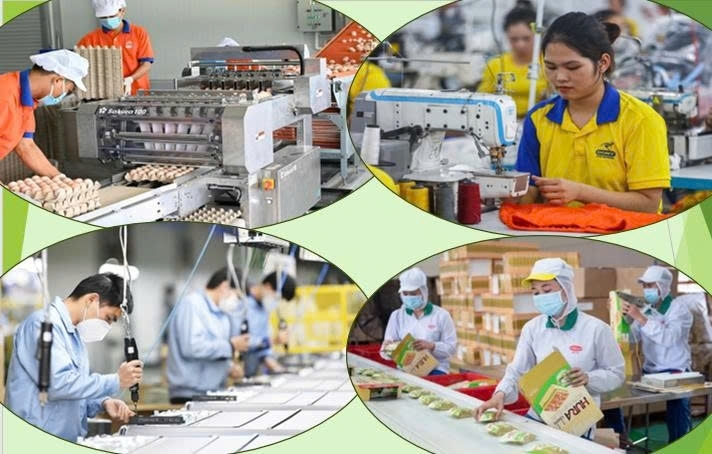 Triển khai đồng bộ nhiều giải pháp trong giai đoạn nước rút triển khai Tổng điều tra kinh tế