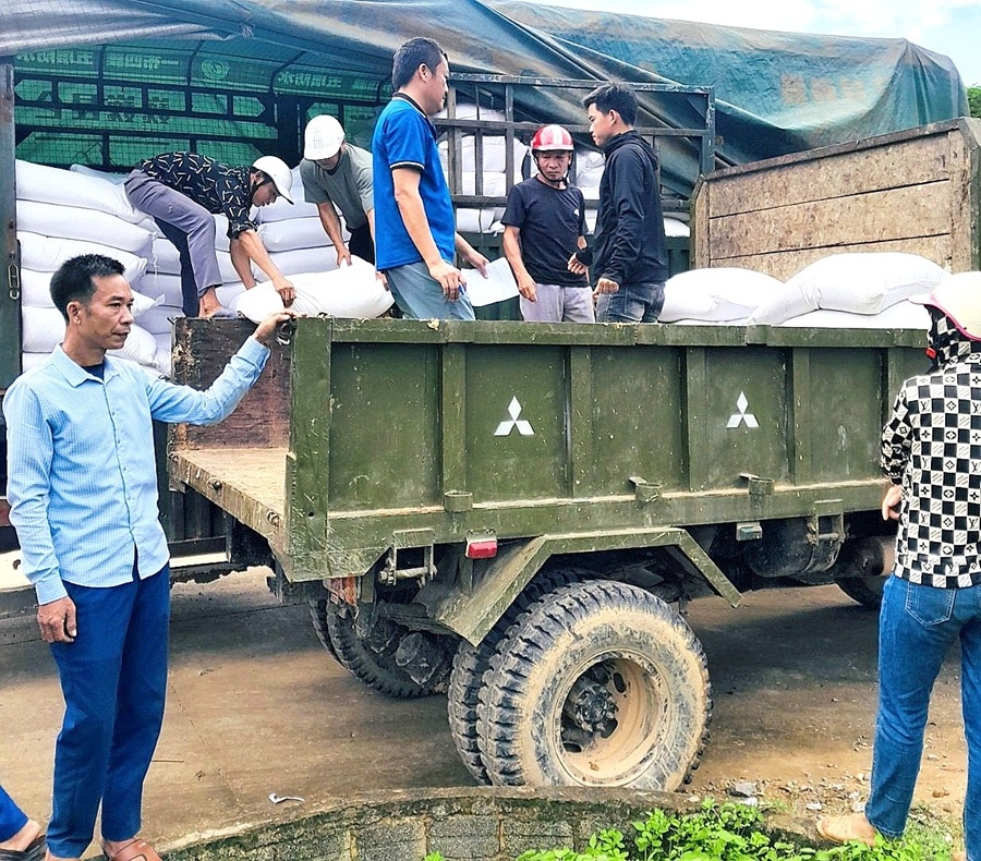 Hỗ trợ hơn 936 tấn gạo dự trữ quốc gia cho người dân tham gia bảo vệ rừng Hỗ trợ hơn 936 tấn gạo dự trữ quốc gia cho người dân tham gia bảo vệ rừng