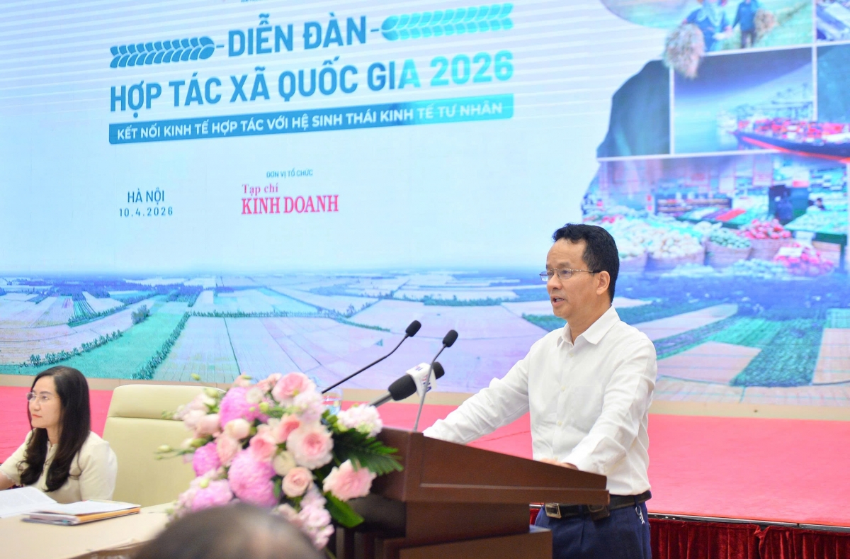 Thúc đẩy liên kết hợp tác xã - kinh tế tư nhân: Kiến tạo hệ sinh thái phát triển bền vững Thúc đẩy liên kết hợp tác xã - kinh tế tư nhân: Kiến tạo hệ sinh thái phát triển bền vững