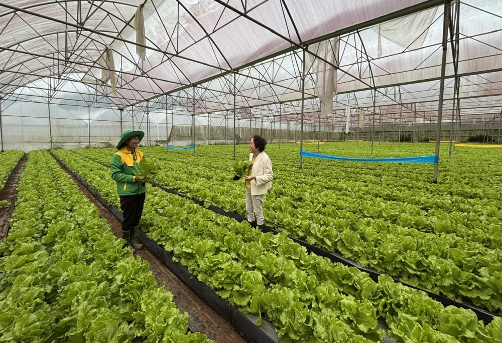 Hội thảo Nông nghiệp thông minh: Khi công nghệ trở thành “trợ lý” của nhà nông
