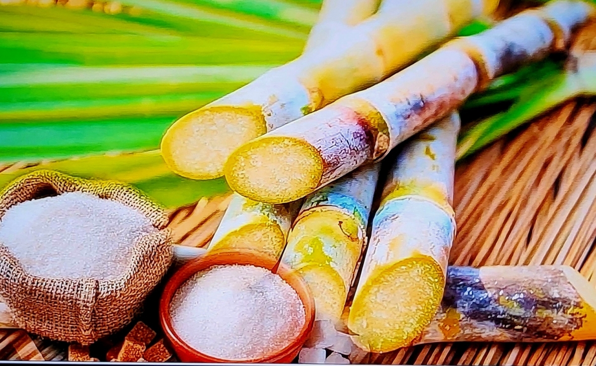 Đường 