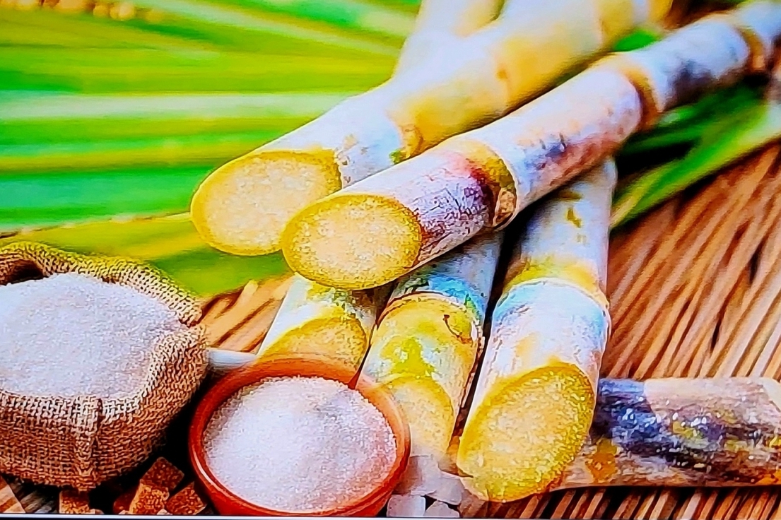 Đường "ngoại" tiếp tục chi phối thị trường mía đường "nội"