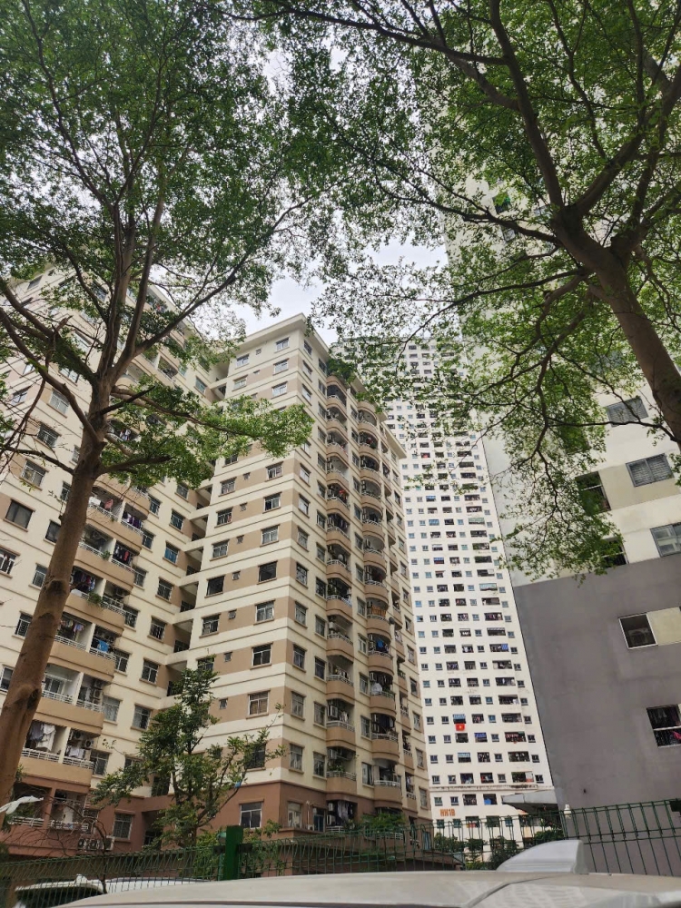 Thị trường căn hộ chung cư quý I/2026: Lệch cung, căn hộ hạng A áp đảo Thị trường căn hộ chung cư quý I/2026: Lệch cung, căn hộ hạng A áp đảo