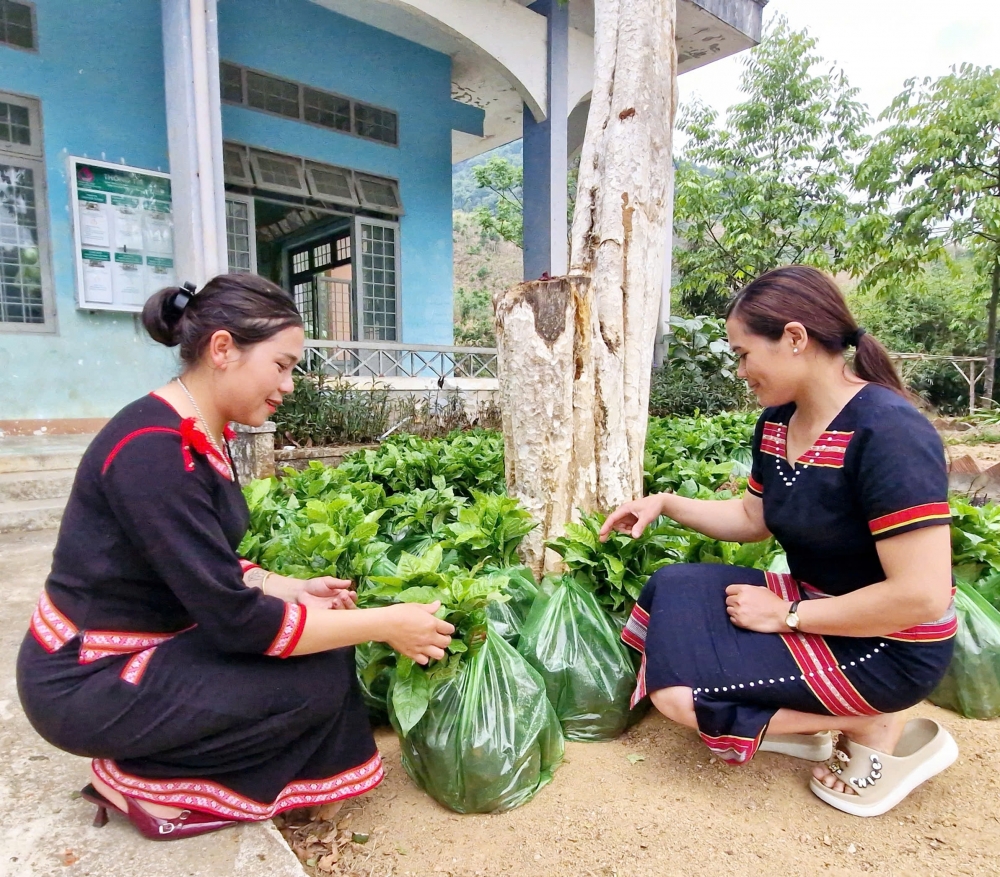 Quảng Ngãi: Gắn sinh kế với an sinh, mở rộng “lưới đỡ” cho phụ nữ vùng biên
