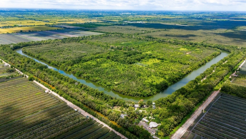 Đồng Tháp Mười mở rộng quy mô bảo tồn, đón làn sóng du lịch sinh thái Đồng Tháp Mười mở rộng quy mô bảo tồn, đón làn sóng du lịch sinh thái