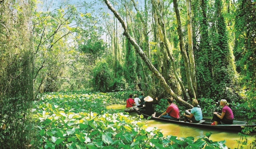 Đồng Tháp Mười mở rộng quy mô bảo tồn, đón làn sóng du lịch sinh thái Đồng Tháp Mười mở rộng quy mô bảo tồn, đón làn sóng du lịch sinh thái