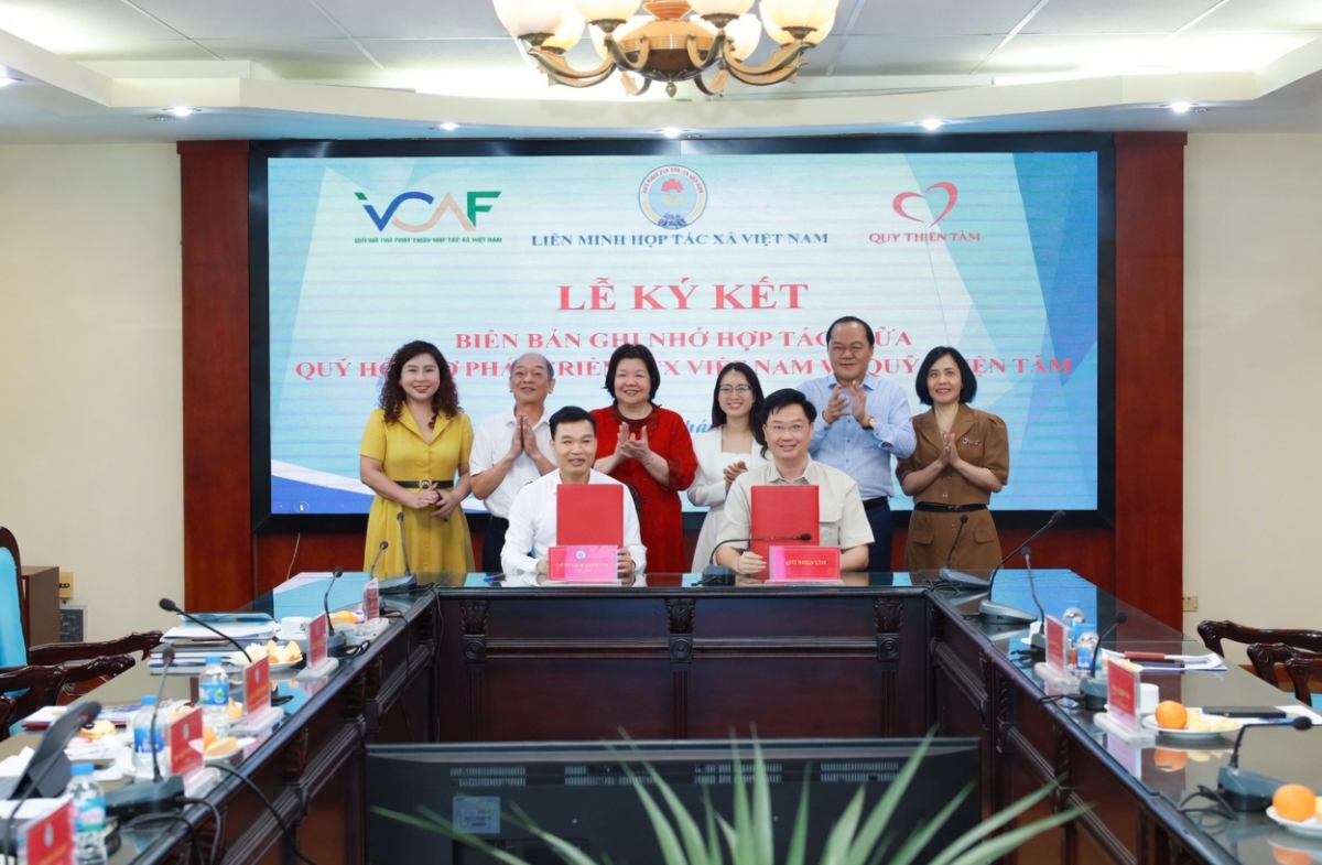 Liên kết nguồn lực nhằm thúc đẩy kinh tế tập thể bứt phá Liên kết nguồn lực nhằm thúc đẩy kinh tế tập thể bứt phá