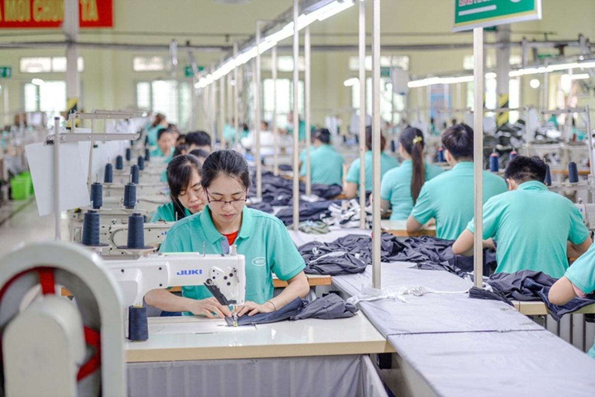 mục tiêu kim ngạch xuất khẩu đạt 50 tỷ USD đòi hỏi cần có những giải pháp mang tính căn cơ và chiến lược dài hạn.