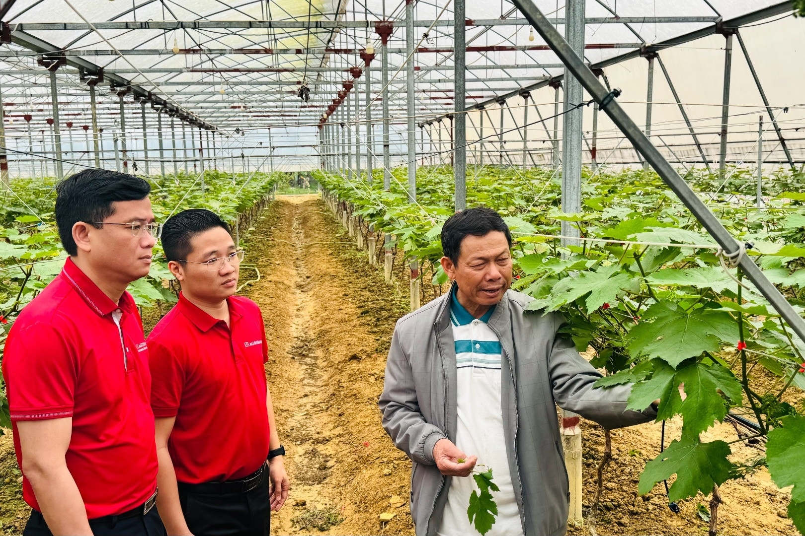 Agribank duy trì tỷ trọng tín dụng cao cho nông nghiệp, nông thôn