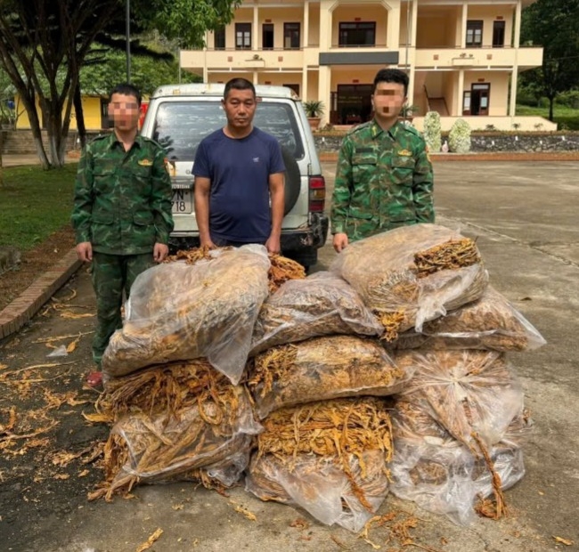 Cao Bằng: Liên tiếp phát hiện, thu giữ hơn 3 tấn nguyên liệu thuốc lá không rõ nguồn gốc
