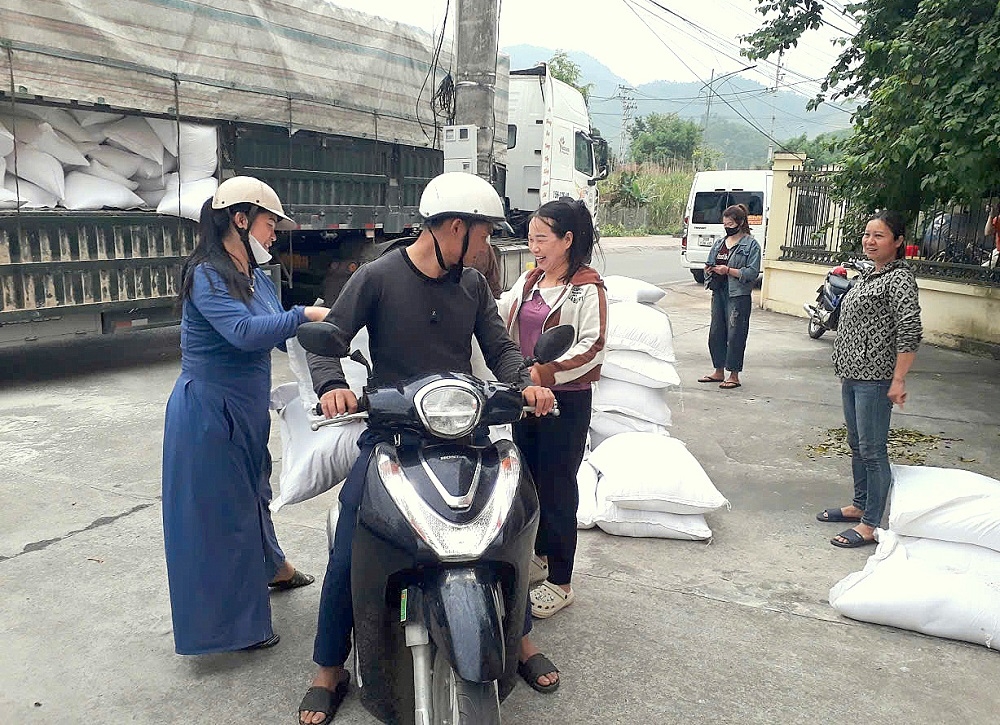 Chi cục Dự trữ Nhà nước khu vực III: Hoàn thành xuất cấp gạo hỗ trợ học sinh, học viên tỉnh Quảng Ninh