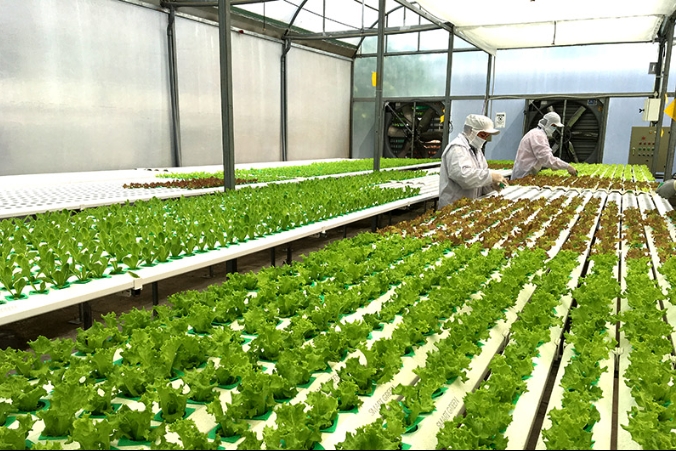Chuyển đổi thực chất, tạo nền tảng tăng trưởng bền vững