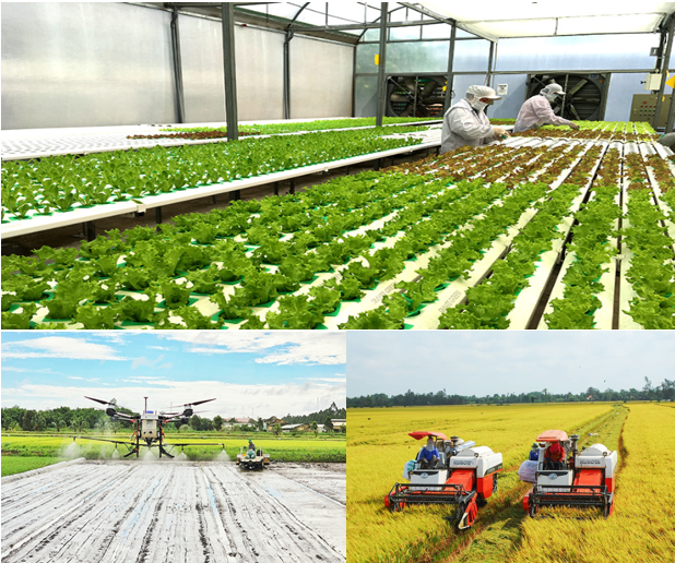Chuyển đổi thực chất, tạo nền tảng tăng trưởng bền vững