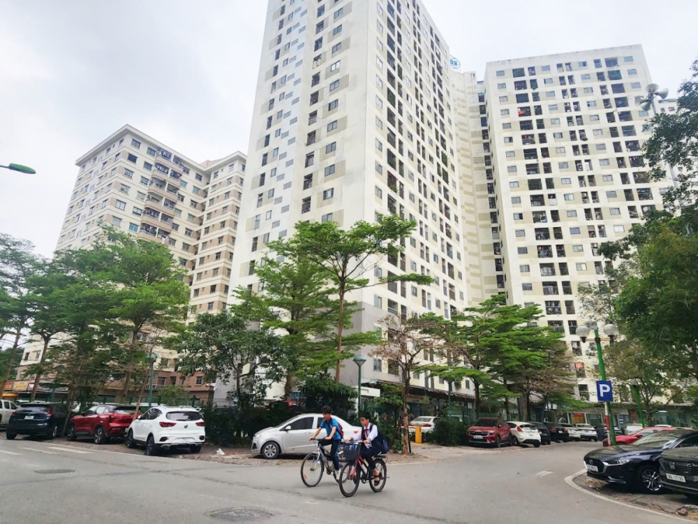 Phương pháp xác định dân số nhà chung cư tại TP. Hồ Chí Minh làm khó thị trường