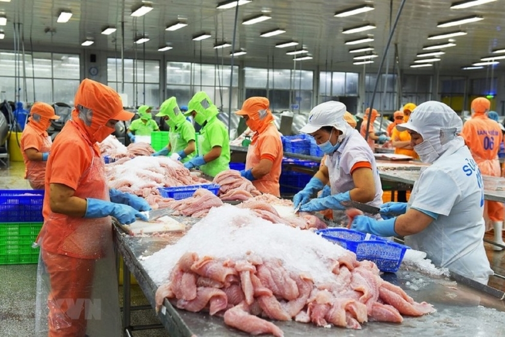 Sức ép PFC và cơ hội định hình thế hệ doanh nghiệp xuất khẩu mới
