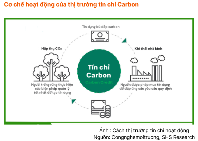 Tín chỉ carbon: “Lớp tài sản xanh” mới của nền kinh tế Net-Zero Tín chỉ carbon: “Lớp tài sản xanh” mới của nền kinh tế Net-Zero