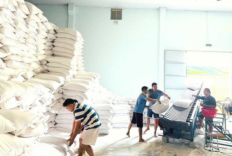 Bền bỉ vượt đường xa, mang gạo dự trữ tới người dân tỉnh Cao Bằng Bền bỉ vượt đường xa, mang gạo dự trữ tới người dân tỉnh Cao Bằng