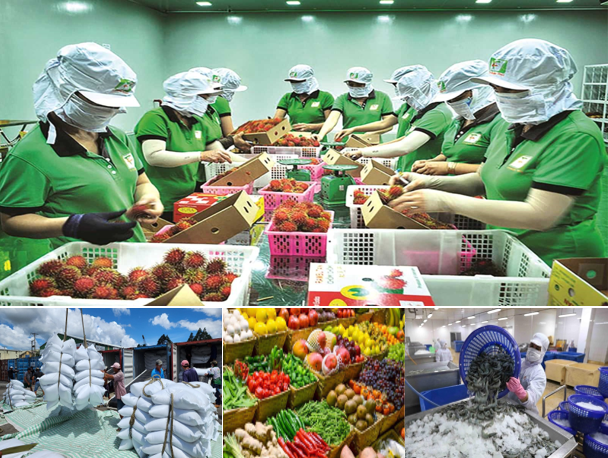 Xuất khẩu nông sản chuyển mạnh từ 