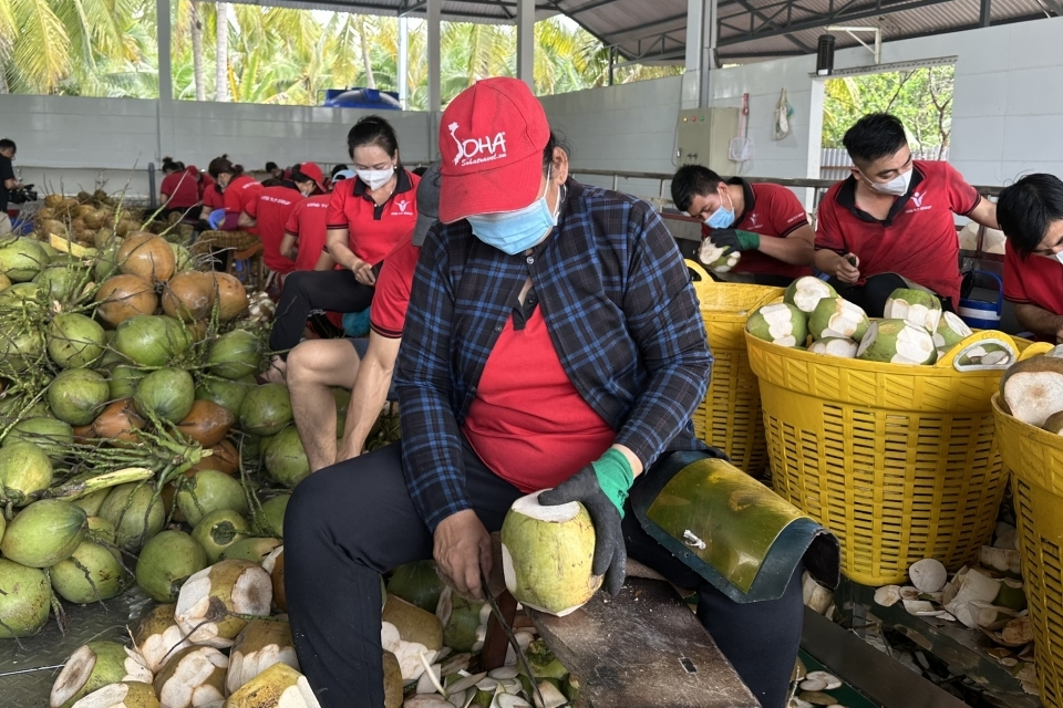 Cắt giảm thủ tục kinh doanh: Doanh nghiệp kiến nghị giải pháp sát với thực tiễn