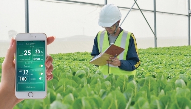 Hà Nội đẩy mạnh nông nghiệp thông minh bằng IoT, hướng tới tự động hóa toàn diện