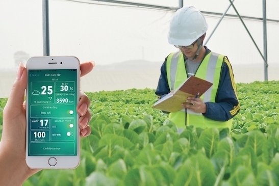 Hà Nội đẩy mạnh nông nghiệp thông minh bằng IoT, hướng tới tự động hóa toàn diện