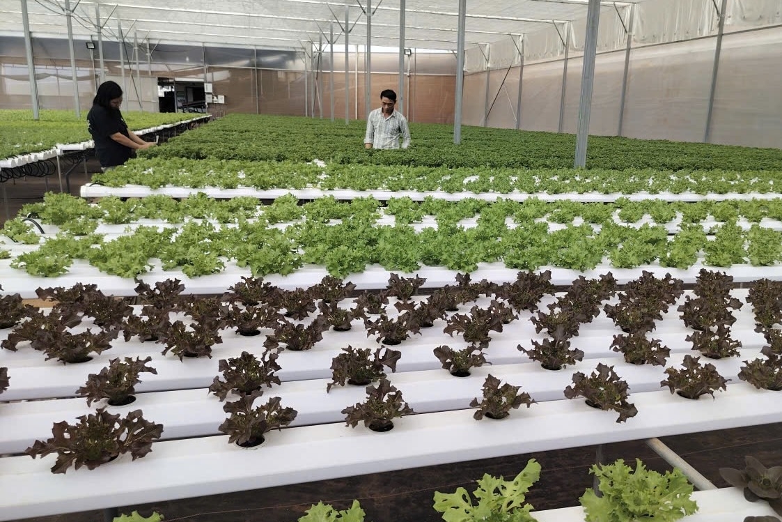 Lâm Đồng: Tiếp nhận hồ sơ hỗ trợ doanh nghiệp nhỏ và vừa đến hết 30/6