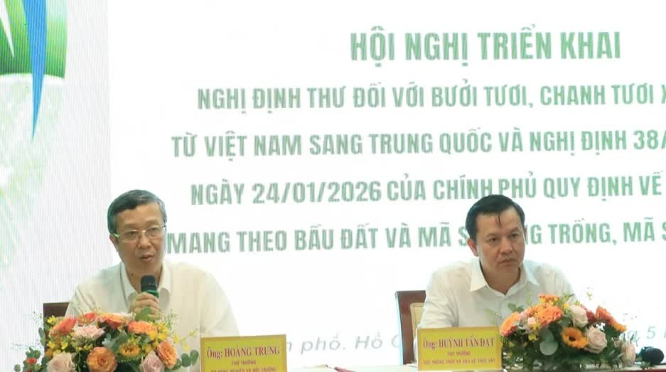 Rộng đường xuất khẩu bưởi, chanh sang Trung Quốc
