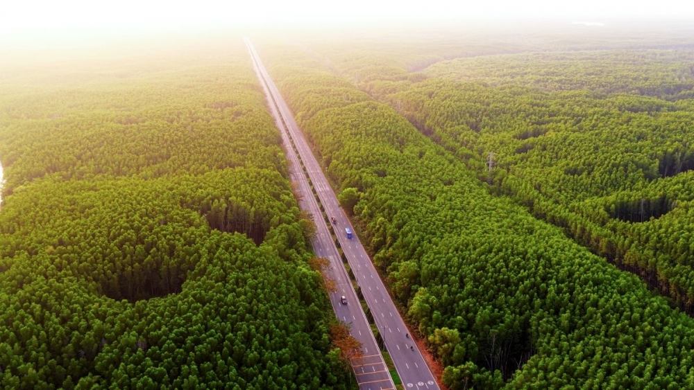 Siêu đô thị 2.870 ha của Vinhomes đang “vẽ lại” diện mạo biển Cần Giờ Siêu đô thị 2.870 ha của Vinhomes đang “vẽ lại” diện mạo biển Cần Giờ