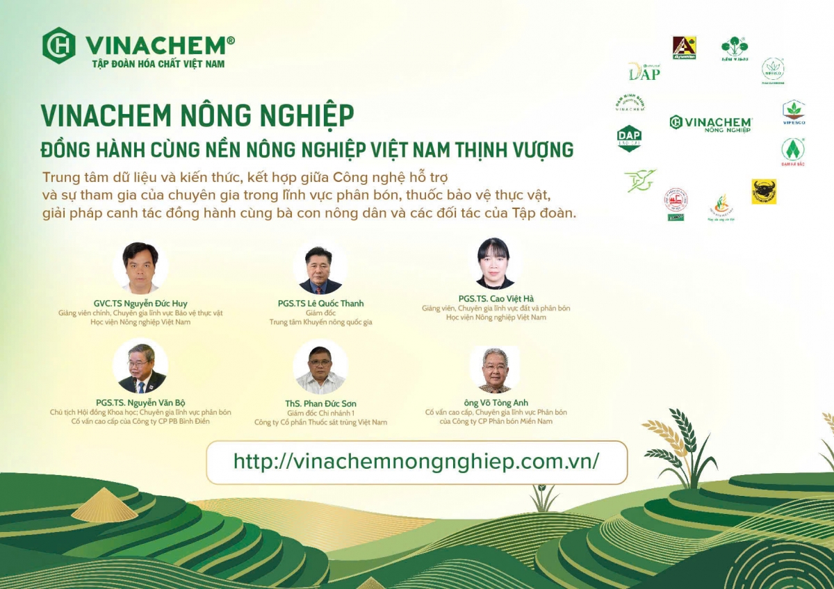Xây dựng nền tảng tri thức số Vinachem Nông nghiệp hướng tới phát triển nền nông nghiệp bền vững