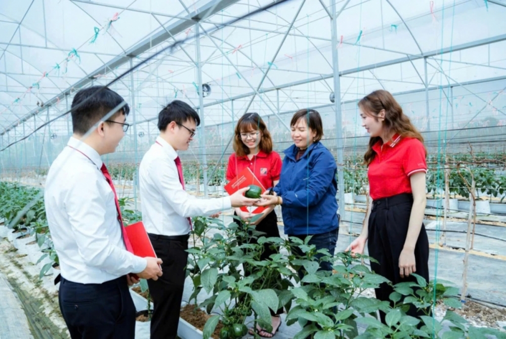 Các ngân hàng đang tăng tốc xanh hóa hoạt động trong bối cảnh Ngân hàng Nhà nước siết chuẩn ESG và thúc đẩy dòng vốn phục vụ mục tiêu phát triển bền vững quốc gia. Các ngân hàng đang tăng tốc xanh hóa hoạt động trong bối cảnh Ngân hàng Nhà nước siết chuẩn ESG và thúc đẩy dòng vốn phục vụ mục tiêu phát triển bền vững quốc gia.