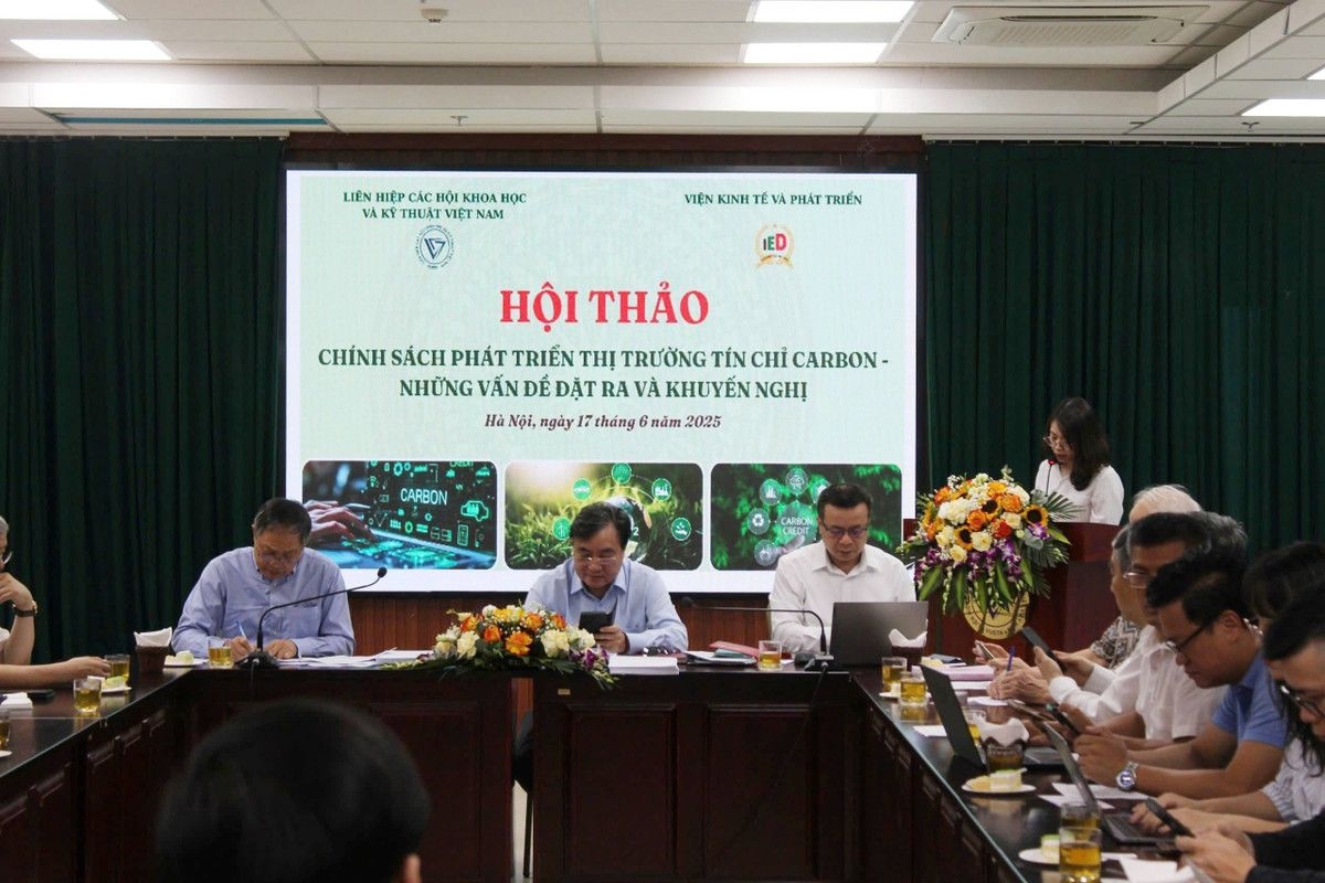 Khai thác tín chỉ carbon tại rừng U Minh: Dư địa mới cho kinh tế lâm nghiệp xanh ở cực Nam Tổ quốc