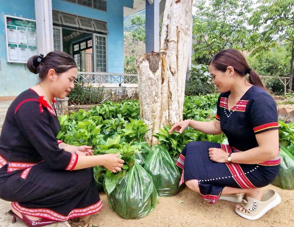 Những điểm nhấn trong công tác truyền thông của Bảo hiểm xã hội tỉnh Quảng Ngãi