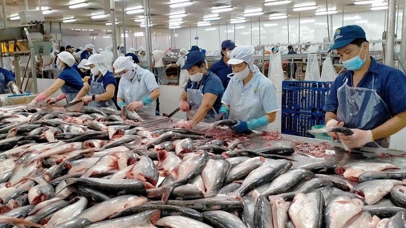 Thủy sản gỡ vướng hướng tới mục tiêu xuất khẩu năm 2026