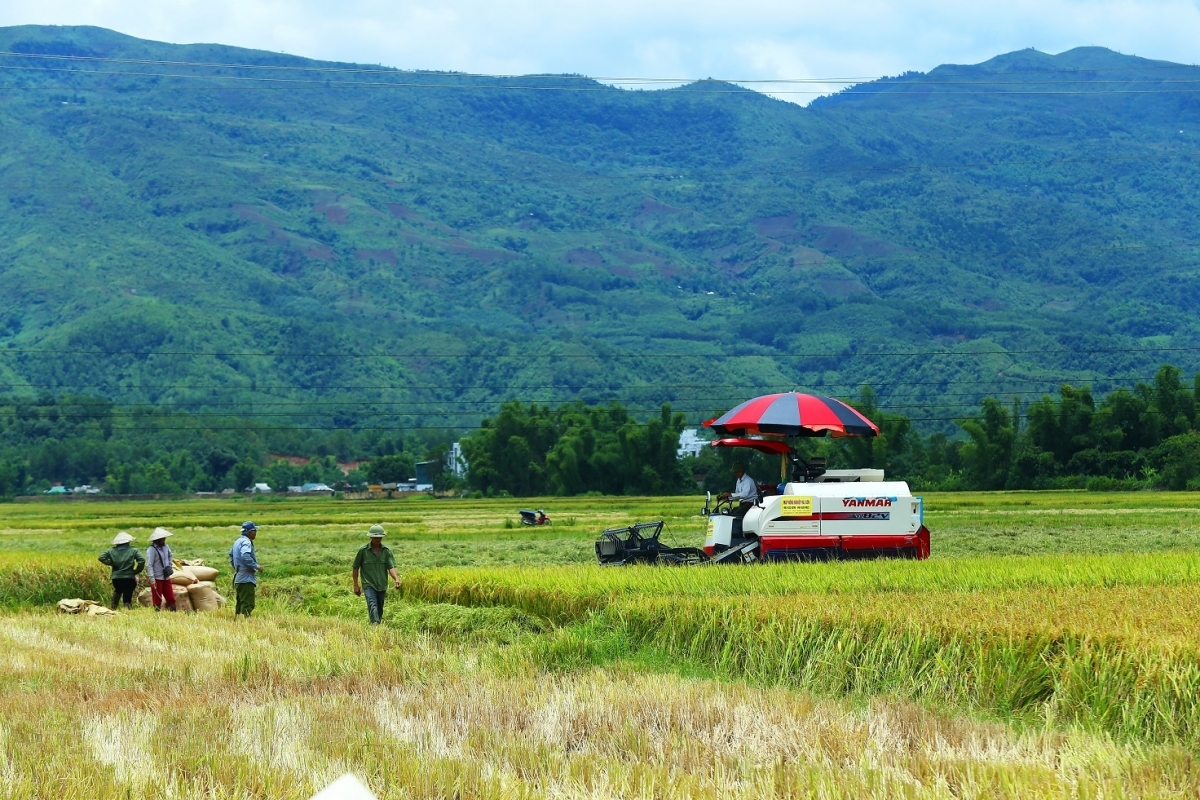 Thúc tiến độ, không để đọng vốn chương trình mục tiêu về nông thôn mới, giảm nghèo